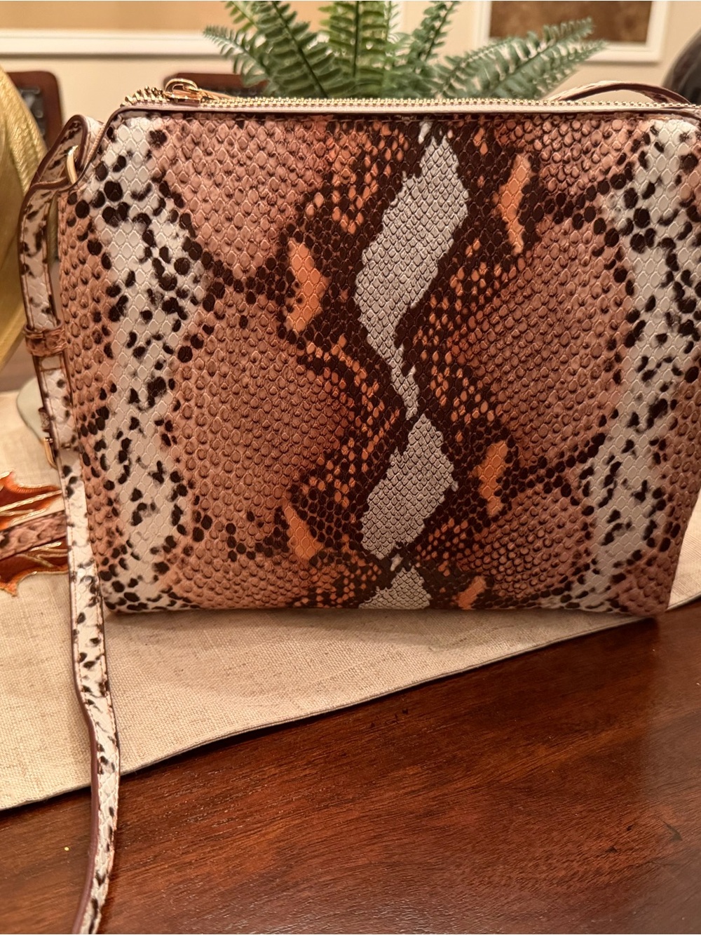 a new day Snake-Print Crossbody in Brown and Cream New!!!